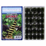 Spinat 100g Frostfutter